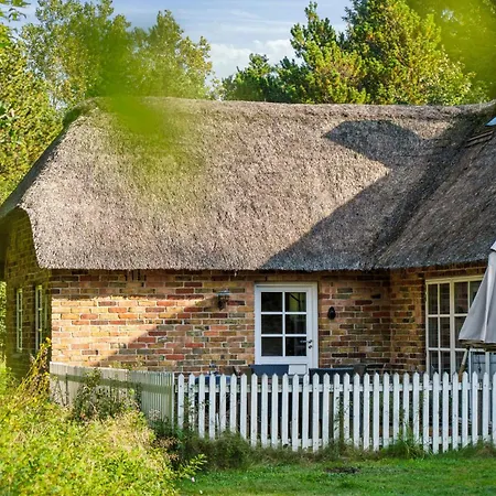 Charming Thatched Near North Sea Holiday home Oby